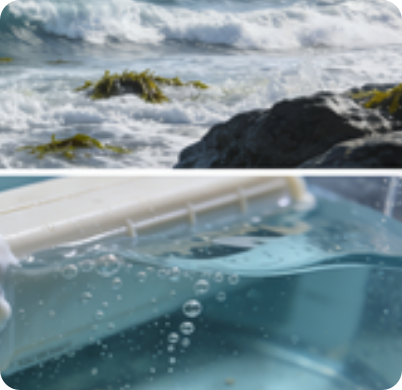 Exclusive Characteristics of the Marine Environment: Why Ordinary Waterproof Adhesives Fall Short